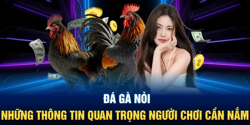 Đá Gà Nòi | Những Thông Tin Quan Trọng Người Chơi Cần Nắm