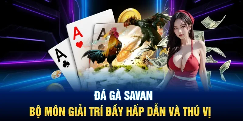 Đá Gà Savan | Bộ Môn Giải Trí Đầy Hấp Dẫn Và Thú Vị 