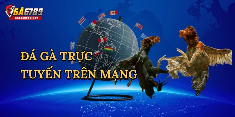 Đá gà trực tuyến trên mạng
