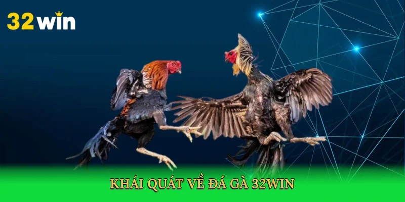 khai-quat-ve-da-ga-32win-2