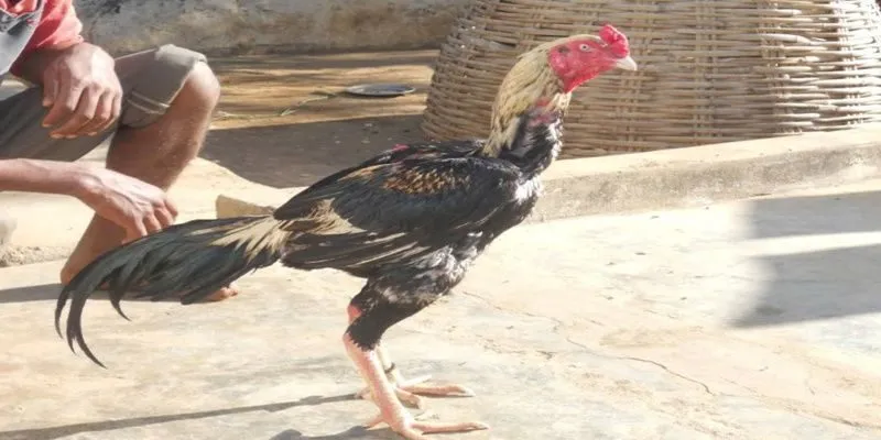 Kinh nghiệm gồm 3 phần