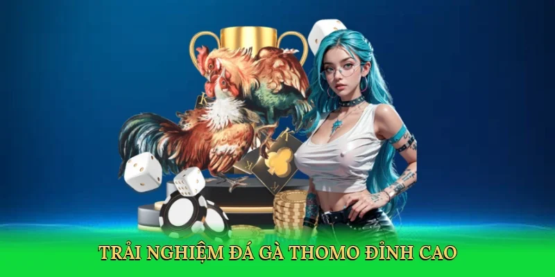 Trải nghiệm Đá gà Thomo đỉnh cao