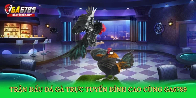 Trận đấu đá gà trực tuyến đỉnh cao cùng GA6789