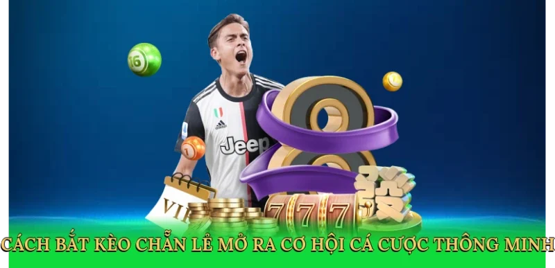 Cách bắt kèo chẵn lẻ mở ra cơ hội cá cược thông minh